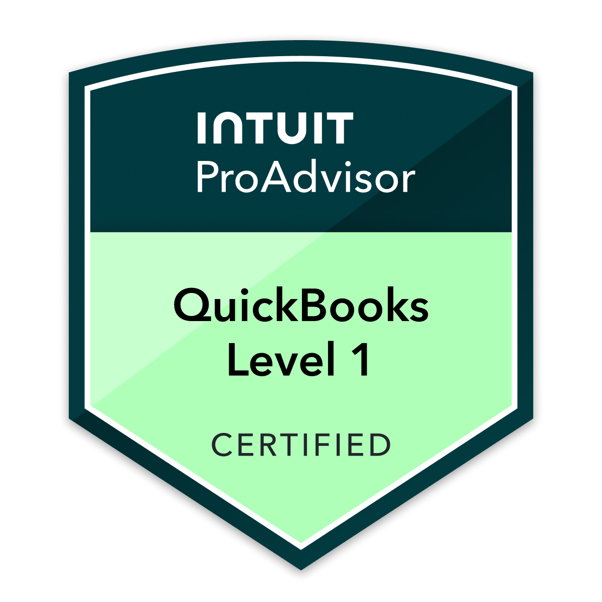 ProAdvisor Level 1