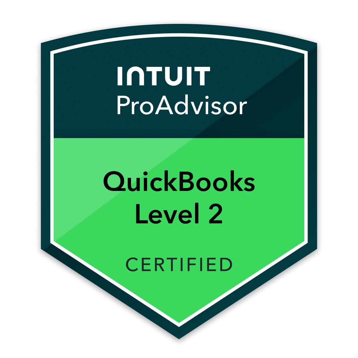 ProAdvisor Level 2